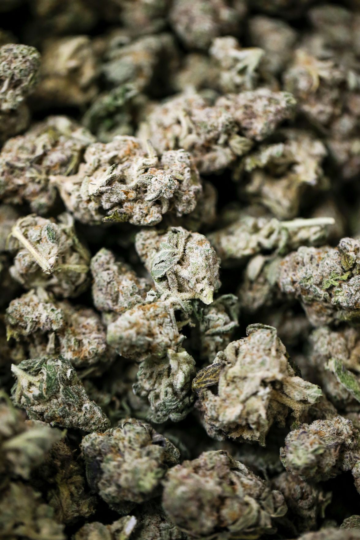 20210919_MET_WEED